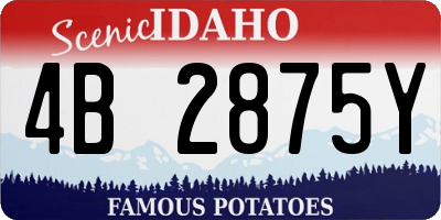 ID license plate 4B2875Y