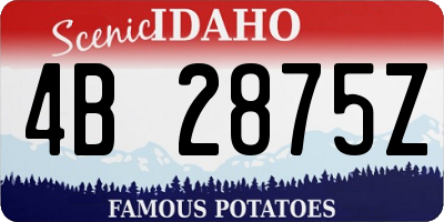 ID license plate 4B2875Z