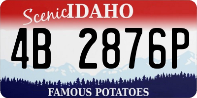 ID license plate 4B2876P