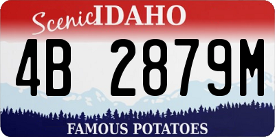 ID license plate 4B2879M