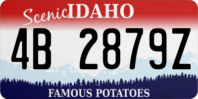 ID license plate 4B2879Z