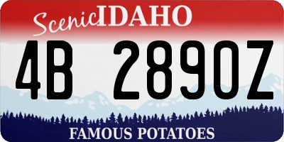 ID license plate 4B2890Z
