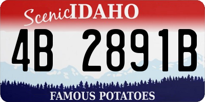 ID license plate 4B2891B