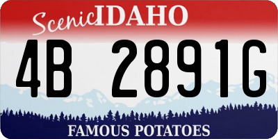 ID license plate 4B2891G