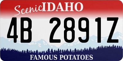 ID license plate 4B2891Z