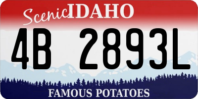 ID license plate 4B2893L