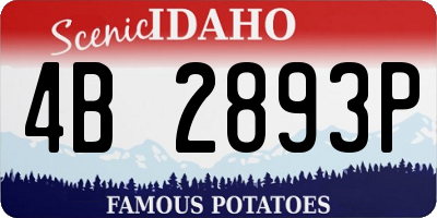 ID license plate 4B2893P