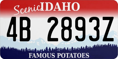 ID license plate 4B2893Z
