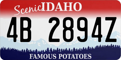 ID license plate 4B2894Z