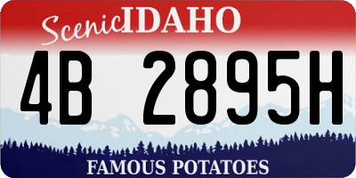 ID license plate 4B2895H