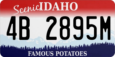 ID license plate 4B2895M