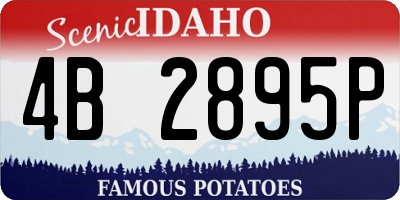 ID license plate 4B2895P