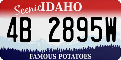 ID license plate 4B2895W