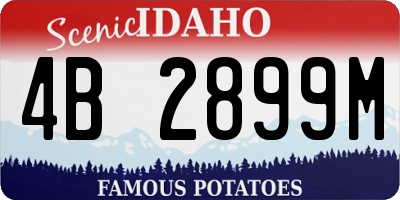 ID license plate 4B2899M