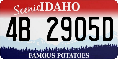 ID license plate 4B2905D