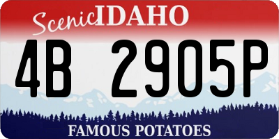 ID license plate 4B2905P