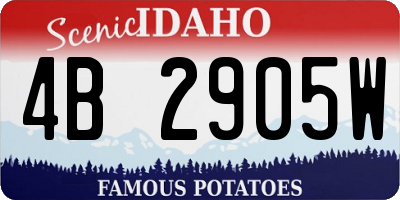 ID license plate 4B2905W
