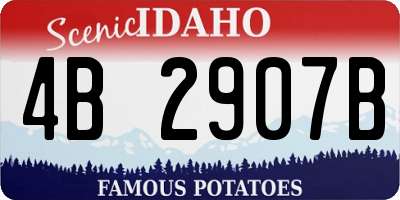 ID license plate 4B2907B
