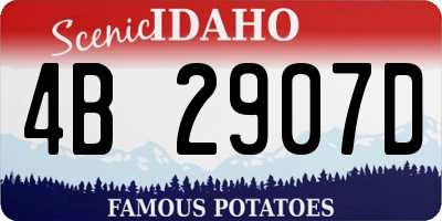 ID license plate 4B2907D
