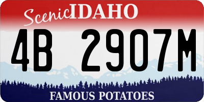 ID license plate 4B2907M