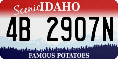 ID license plate 4B2907N