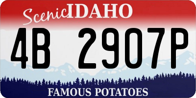 ID license plate 4B2907P