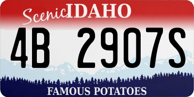ID license plate 4B2907S