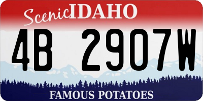 ID license plate 4B2907W