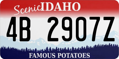 ID license plate 4B2907Z