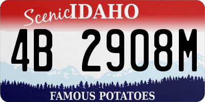 ID license plate 4B2908M