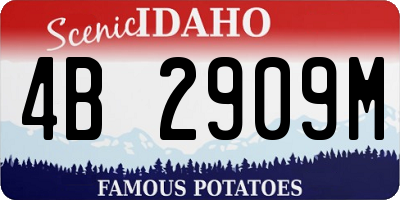 ID license plate 4B2909M