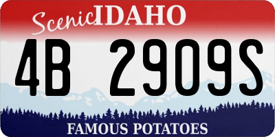 ID license plate 4B2909S