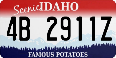 ID license plate 4B2911Z