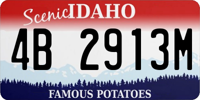 ID license plate 4B2913M