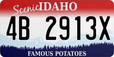 ID license plate 4B2913X