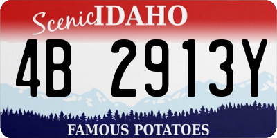 ID license plate 4B2913Y