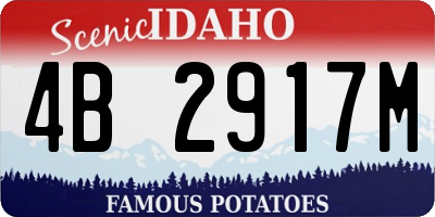 ID license plate 4B2917M