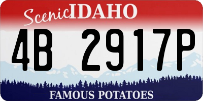 ID license plate 4B2917P