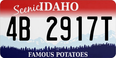 ID license plate 4B2917T