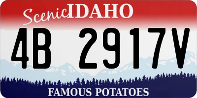 ID license plate 4B2917V