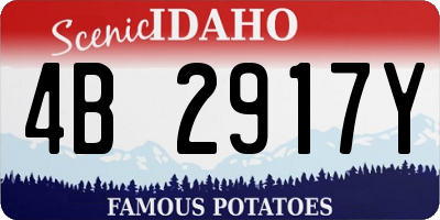 ID license plate 4B2917Y