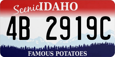 ID license plate 4B2919C