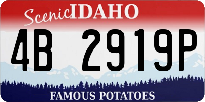 ID license plate 4B2919P