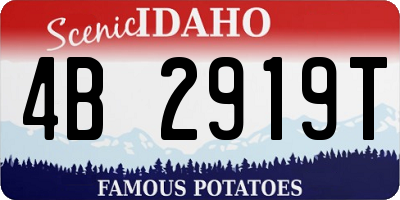 ID license plate 4B2919T