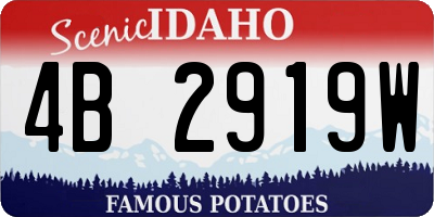 ID license plate 4B2919W