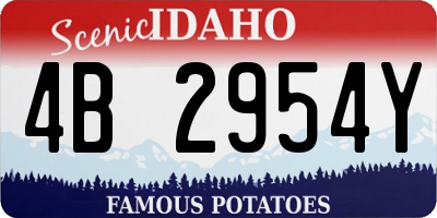 ID license plate 4B2954Y