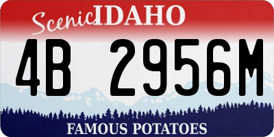 ID license plate 4B2956M