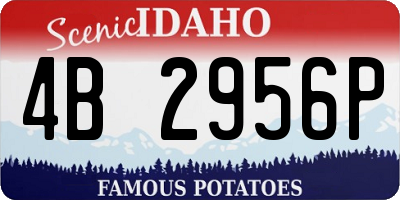 ID license plate 4B2956P