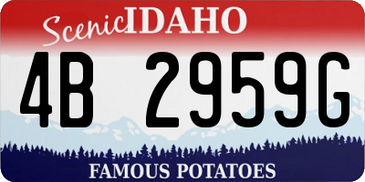 ID license plate 4B2959G