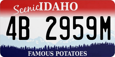 ID license plate 4B2959M